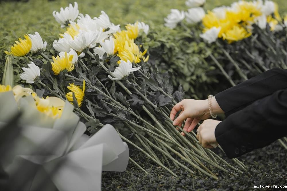 d2851ac86a6c4c1197b330e8c6c20495.jpg d2851ac86a6c4c1197b330e8c6c20495.jpg